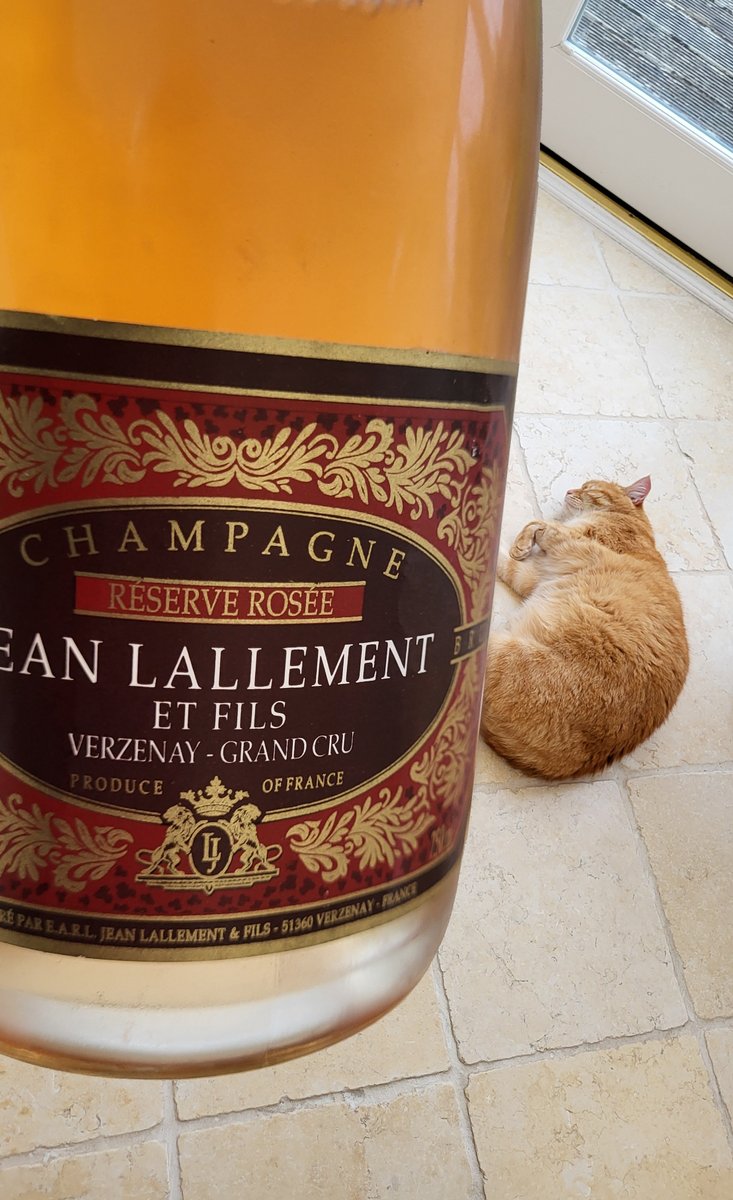 Who'd have thought it? Champagne and cat matching is a thing...