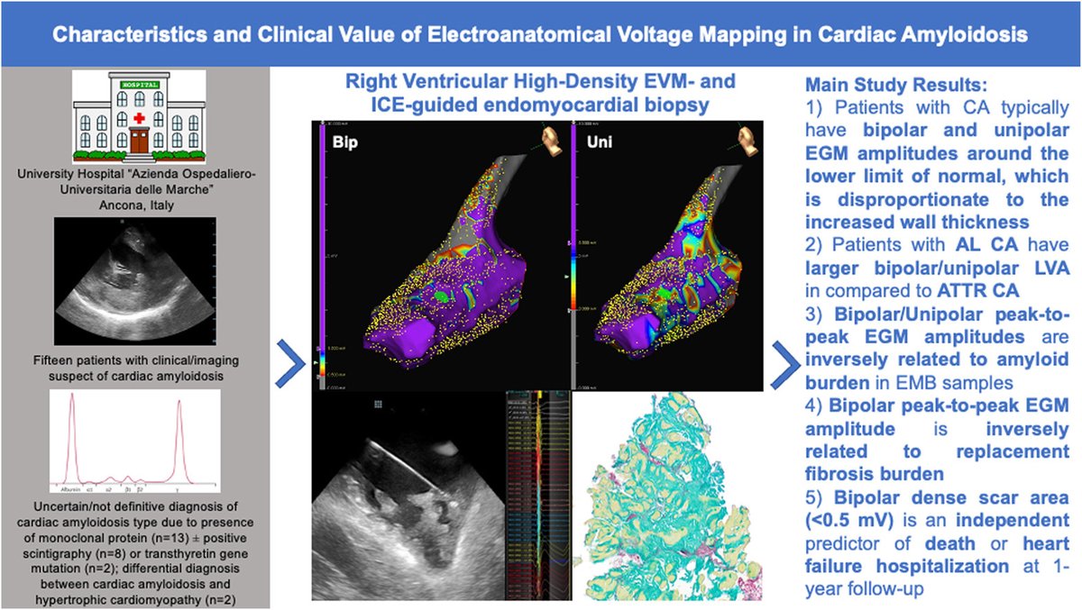 CJCJournals's tweet photo. In cardiac amyloidosis, EGM amplitudes are around the lower limit of normal, yet disproportionately low compared to the increased wall thickness. Electroanatomical data may predict adverse outcomes. Read more 👉 https://t.co/4MvBVBVKE0 #Amyloidosis #EPeeps #CJC https://t.co/JqRwIhAYja