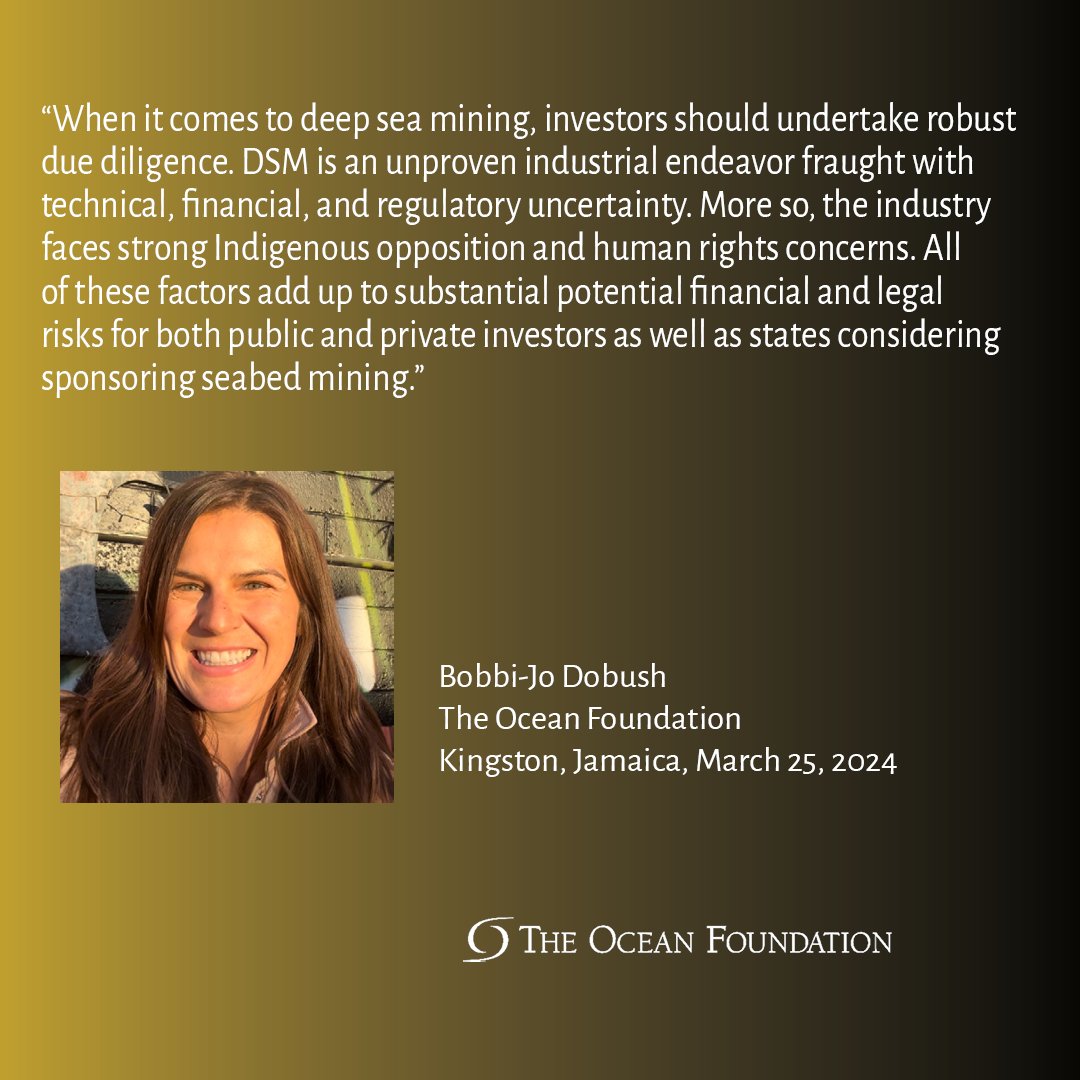 🐠For a quick overview of the elements that make #deepseamining a risky investment, look no further than @BobbiJo_Dobush's comments at our side event at the @isba_hq last week in Kingston. 👉 tinyurl.com/4fzx28hw @oceanfdn @ejfoundation @DeepSeaConserve @SOAlliance #sdg14