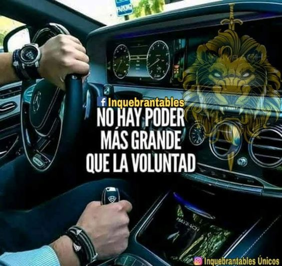 Nelson Javier Perez (@nelsonjaviers1) on Twitter photo 