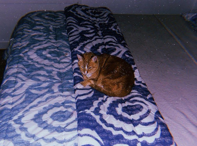 Amurika on Solana tweet media