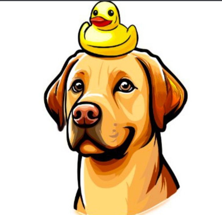 DebroahMck42317's tweet photo. @TheCryptoDaddi 🚀 Dive into the exciting world of decentralized finance with DogWifDuck on #Solana! Join our presale now and grab your share of the future. Don't miss out on this opportunity! #DWIFD #SOL 🐶🦆 https://t.co/W7TG0QopcM