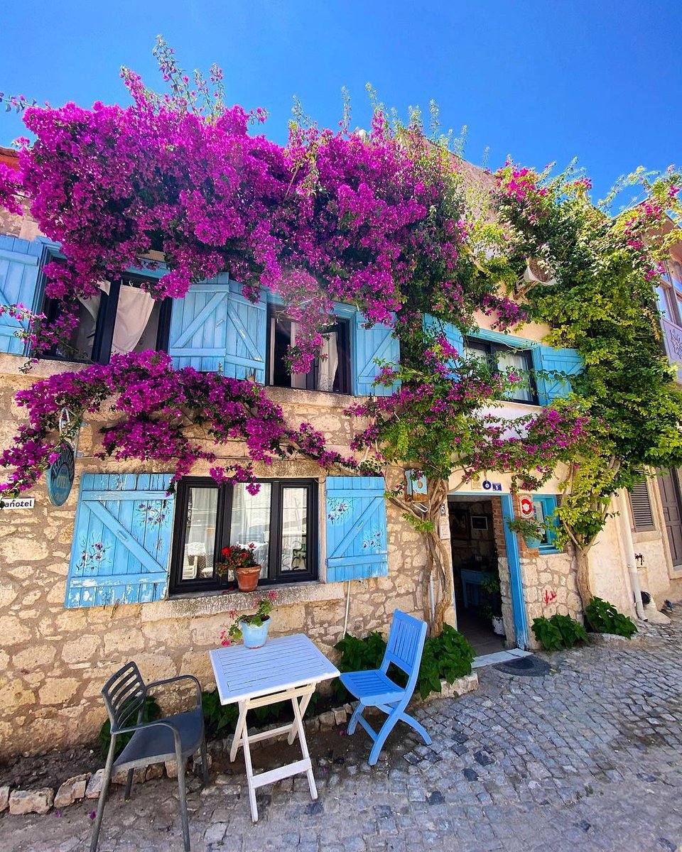 Baharın en güzel rengi Sizce hangisi? 🤔🌈🌸
📸 @necatibaygal 👏🏻#alaçatı #çeşme #izmir #türkiye #turkey #gezgörbence #keşfet #keşfetteyiz #gezilecekyerler