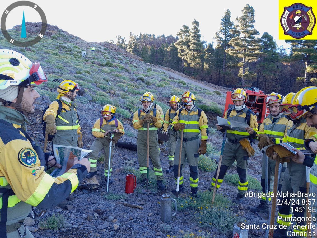 Hoy martes @BrifPuntagorda y #EPRIFPuntagorda trabajan en quema prescrita plan de quemas el Reventón (término municipal Puntagorda) 1,4 ha. Objetivo: prevención de incendios 👨🏻‍🚒🚒🔥