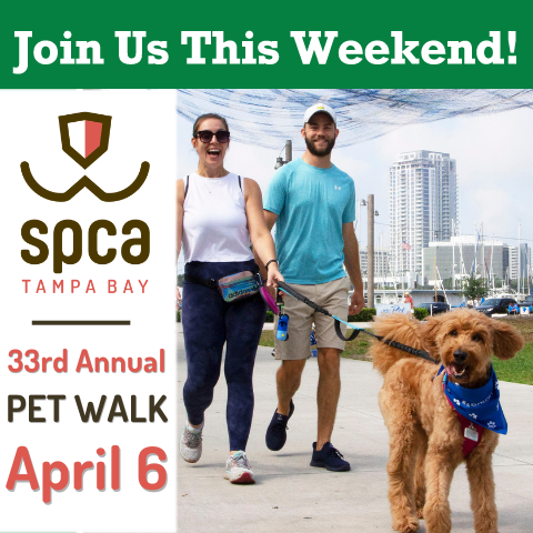 Join Safer Home Services at the 33rd Annual Pet Walk by <a href="/SPCATampaBay/">SPCA Tampa Bay</a>  on April 6th! 

Pet Walk is happening at two locations again this year and Safer Home Services will be at both North Straub Park in St. Petersburg and at the new location at Largo Central Park in Largo!