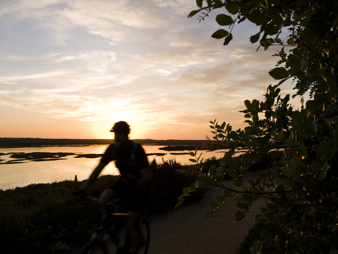 Sunsets in our region are truly special! Take a leisurely walk or bike ride through the trails of Ria Formosa and witness its beauty for yourself. It‘s truly beautiful! 😌 #riaformosa #qdlresort #quintadolago
