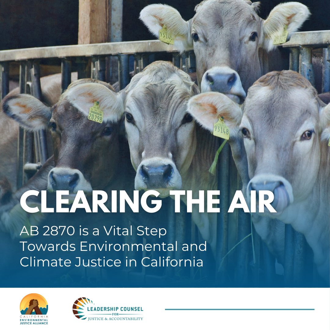 #AB2870 by <a href="/AsmMuratsuchi/">Asm. Al Muratsuchi</a> is a crucial step toward fixing flawed carbon calculations within California's #LCFS — ensuring our climate policies prioritize the health and safety of all Californians, regardless of race or socioeconomic status. Learn more at bit.ly/AB2870.