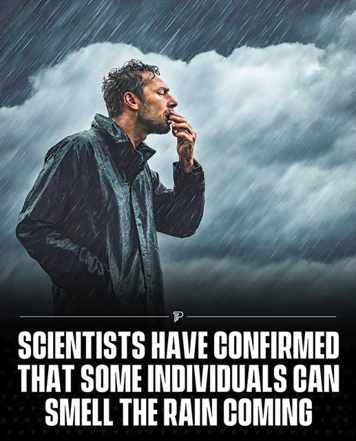 J. R. Martin tweet media