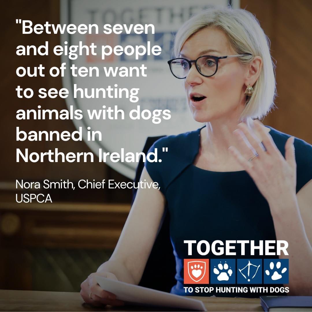 🚫 Say NO to hunting with dogs in NI🚫 Northern Ireland is the last part of the UK where hunting mammals with dogs is still legal. Join us and @LeagueACS in calling for a ban on hunting with dogs 🐕 Sign the petition👉🏻 takeaction.league.org.uk/page/144213/pe… #TimeForChangeNI