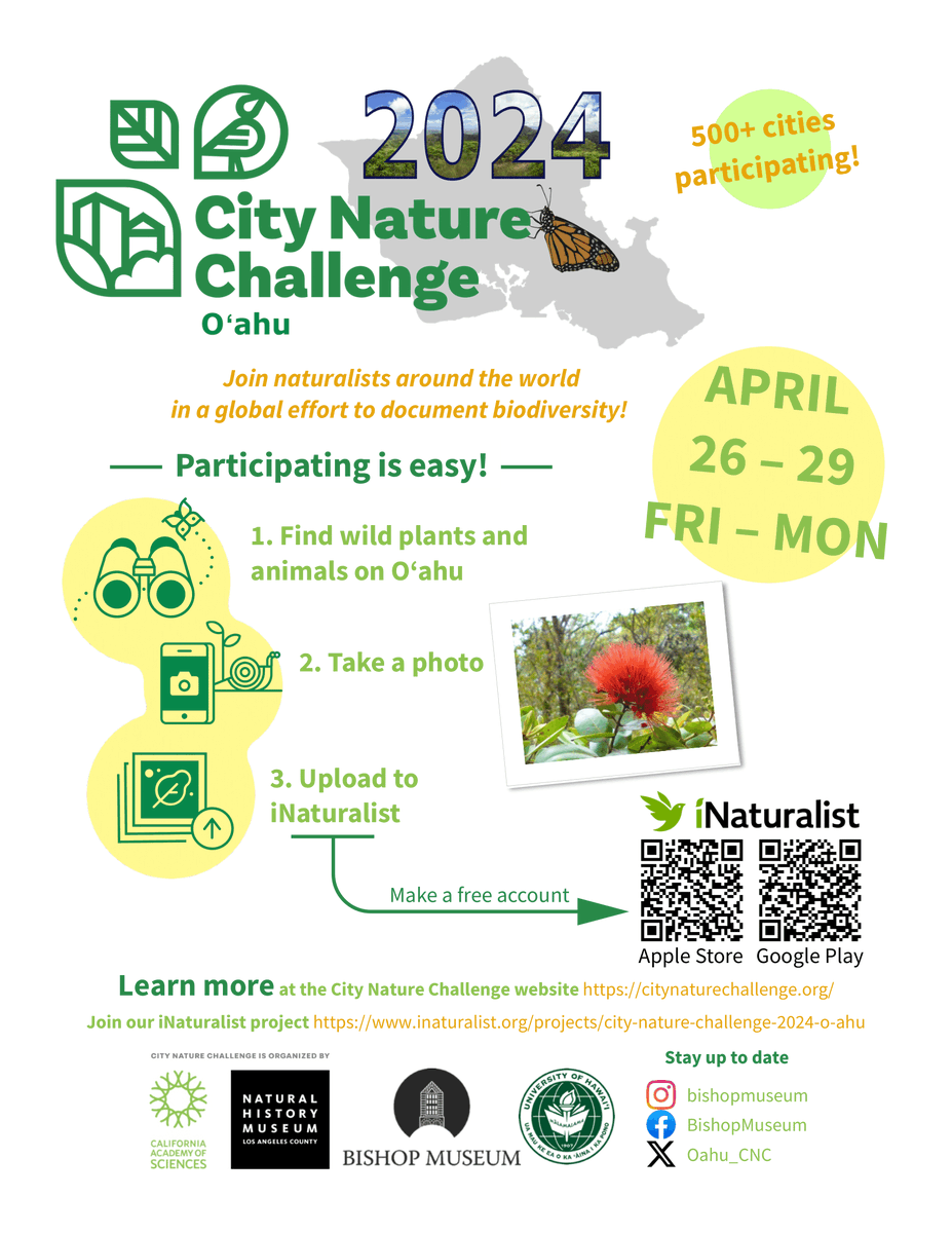 Oahu_CNC's tweet photo. Get ready to explore the natural wonders of our island home because the City Nature Challenge 2024 is coming to Oʻahu in just one month! Join Oʻahu as we compete against over 500 cities around the world to document as many species as we can. More info: https://t.co/f7bU2KLPcq. https://t.co/RLTdeG0VNC