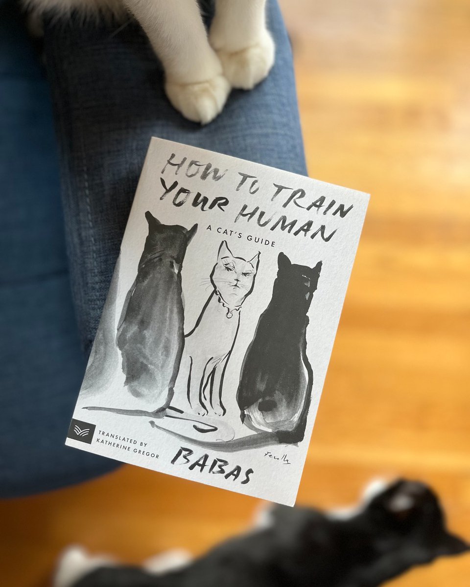 🎉📚😻 Happy publication day to HOW TO TRAIN YOUR HUMAN by Babas and translated by Katherine Gregor! Grab your copy today of this witty and winsome new look into the complex relationship between humans and cats, through the eyes of one attentive cat!