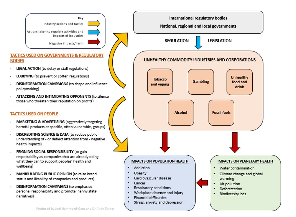 On profiting from poor health - a simple (we hope) visual summary of the tactics used and harms caused by unhealthy commodity industries #CDOH By my excellent colleague Joel and me (mainly Joel...) @DrMattTyrer @PH__Anna @spidermaani @felly500 @JanooAmanda 1/4