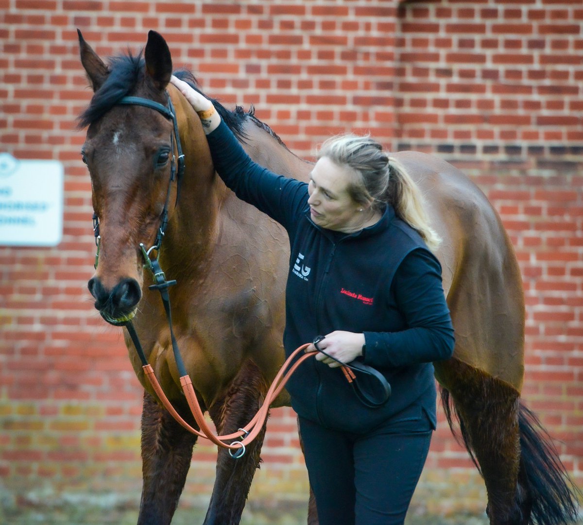 Michael Harris tweet media