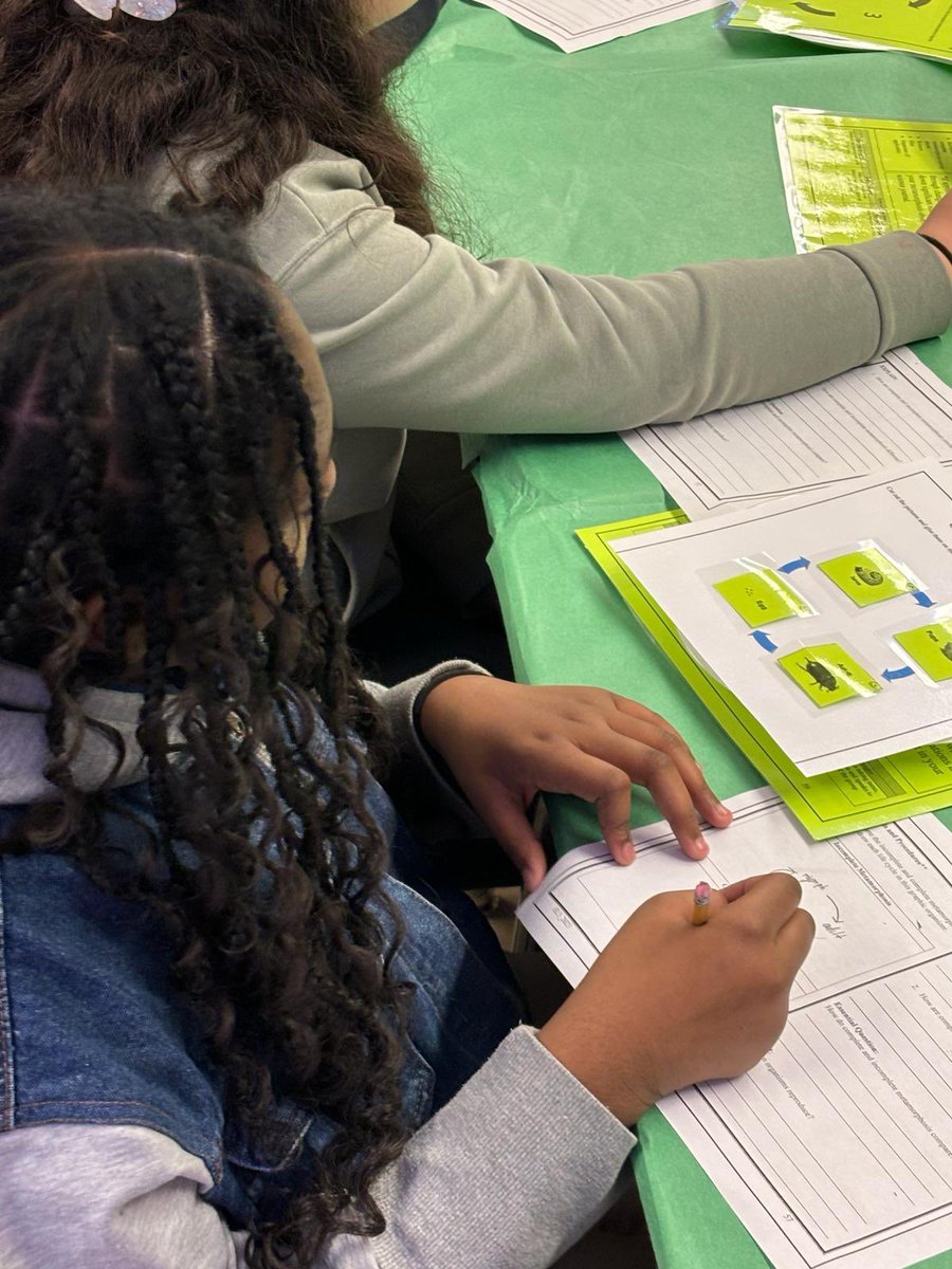 M-DCPS Science (@mdcpssci) on Twitter photo It is a great day for science! 🧪
#MDCPSK12ScienceSuccess
Our students at <a href="/SMHeightsElem/">South Miami Heights Elementary</a> are living science 👩🔬 through lab rotations as they learn about flowering plants and also understanding metamorphosis 🐛 🦋.
<a href="/AileenVega123/">Dr. Aileen Vega</a> <a href="/Kcscott1212/">Kathy Scott</a> <a href="/NestorEMarcia/">Nestor E. Marcia MDCPS</a> <a href="/MDCPSSTEAM/">M-DCPS STEAM</a> It is a great day for science! 🧪
#MDCPSK12ScienceSuccess
Our students at <a href="/SMHeightsElem/">South Miami Heights Elementary</a> are living science 👩🔬 through lab rotations as they learn about flowering plants and also understanding metamorphosis 🐛 🦋.
<a href="/AileenVega123/">Dr. Aileen Vega</a> <a href="/Kcscott1212/">Kathy Scott</a> <a href="/NestorEMarcia/">Nestor E. Marcia MDCPS</a> <a href="/MDCPSSTEAM/">M-DCPS STEAM</a>