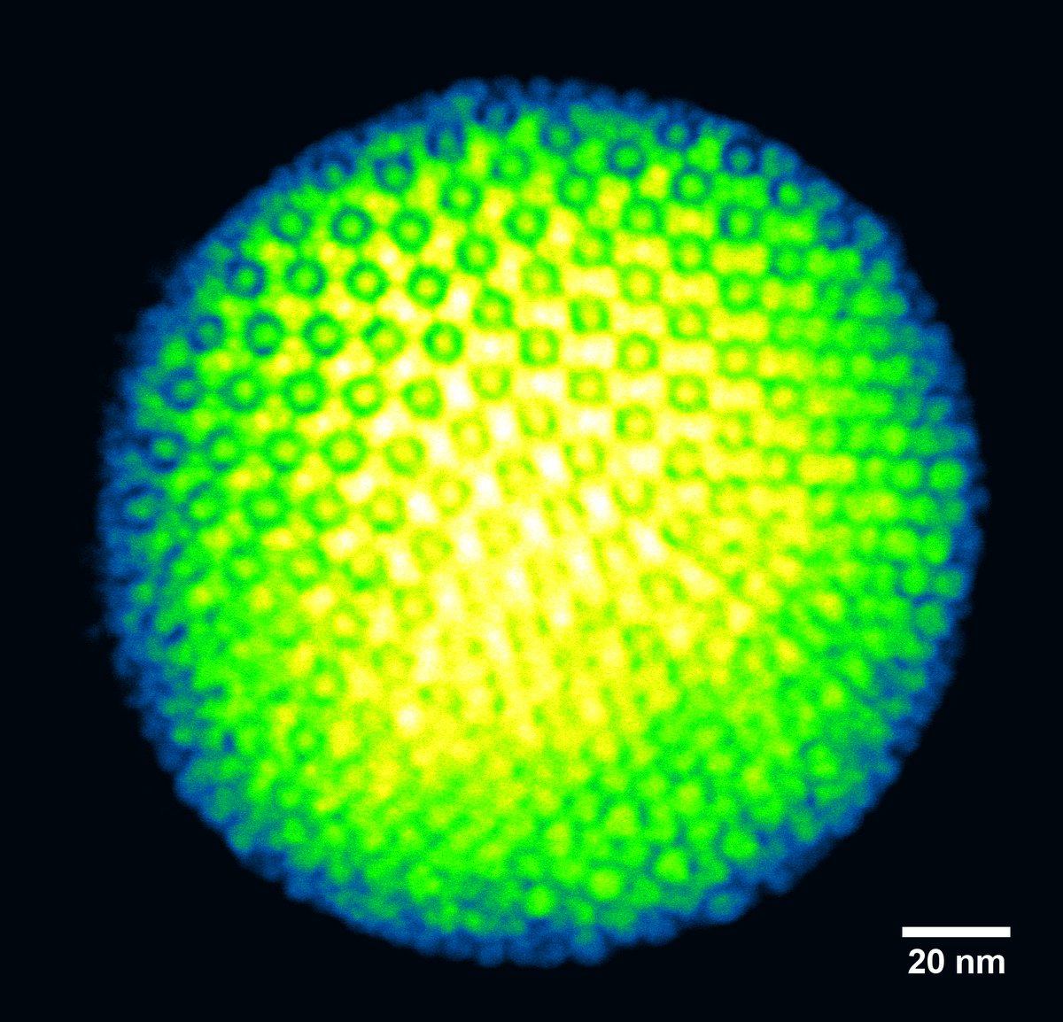 'The beauty of forbidden symmetry in binary supraparticles' by Da Wang, Utrecht University (@utrechtuniversity) 🟢🔵A mixture of 2 types of quantum dots self-assembled into binary icosahedral supraparticles from spherical confinement. 🔬Talos F200 in #STEM mode @thermosciEMSpec