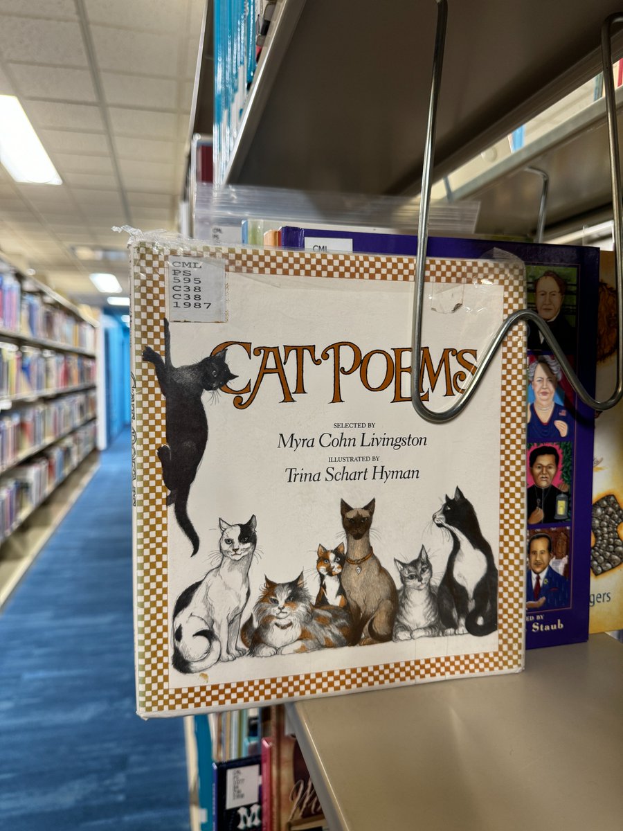 MoffettLibrary's tweet image. Today is International Children’s Book Day and National Children’s Picture Book Day. Our Curriculum Materials Library, located on the first floor of Moffett Library, has an assortment of books for kids and young adults. 

#msutexas #moffettlibrary #clubmoffett