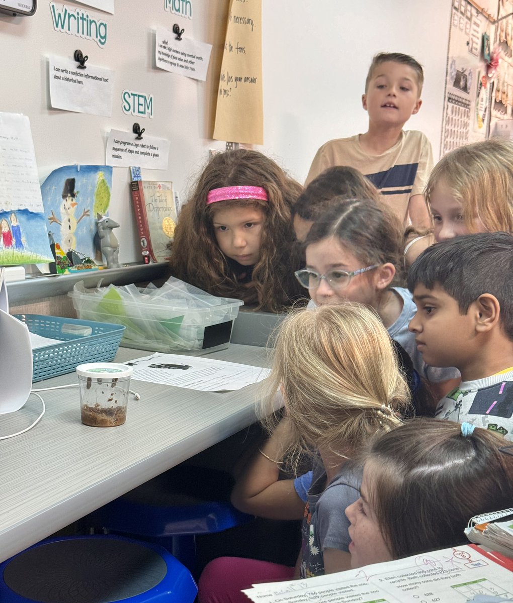 Mrs.Sauer tweet media