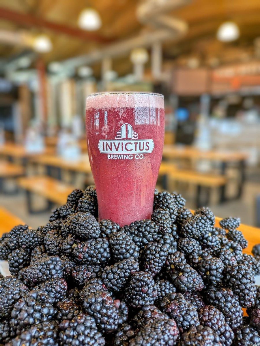 New On Tap! Marionberry Sour 4.1% Crafted with marionberries, this Sour Ale entices with a deep, rich hue and a luscious, jammy aroma- Layers of complexity unfold, with subtle hints of earthiness and a clean mouthfeel, culminating in a satisfyingly fruity finish!