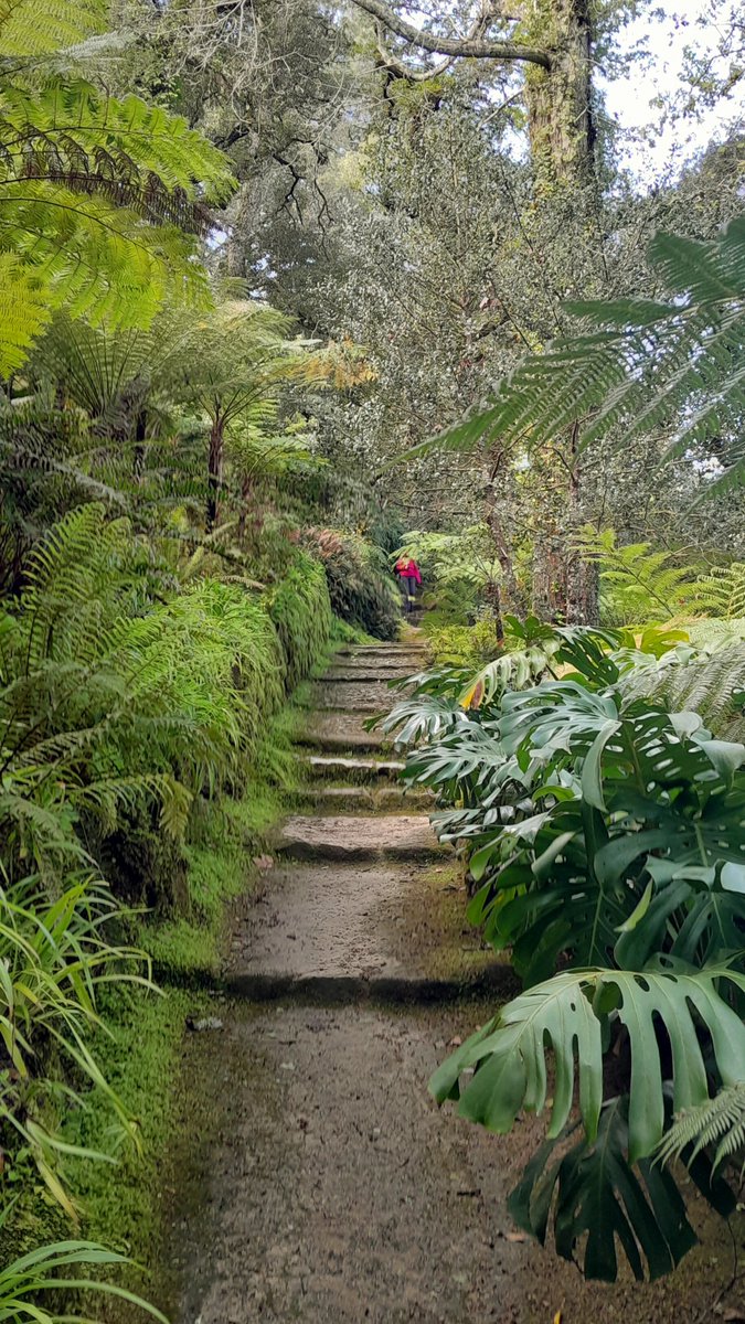 QP #Paths in Park Monserrat, Sintra, Portugal