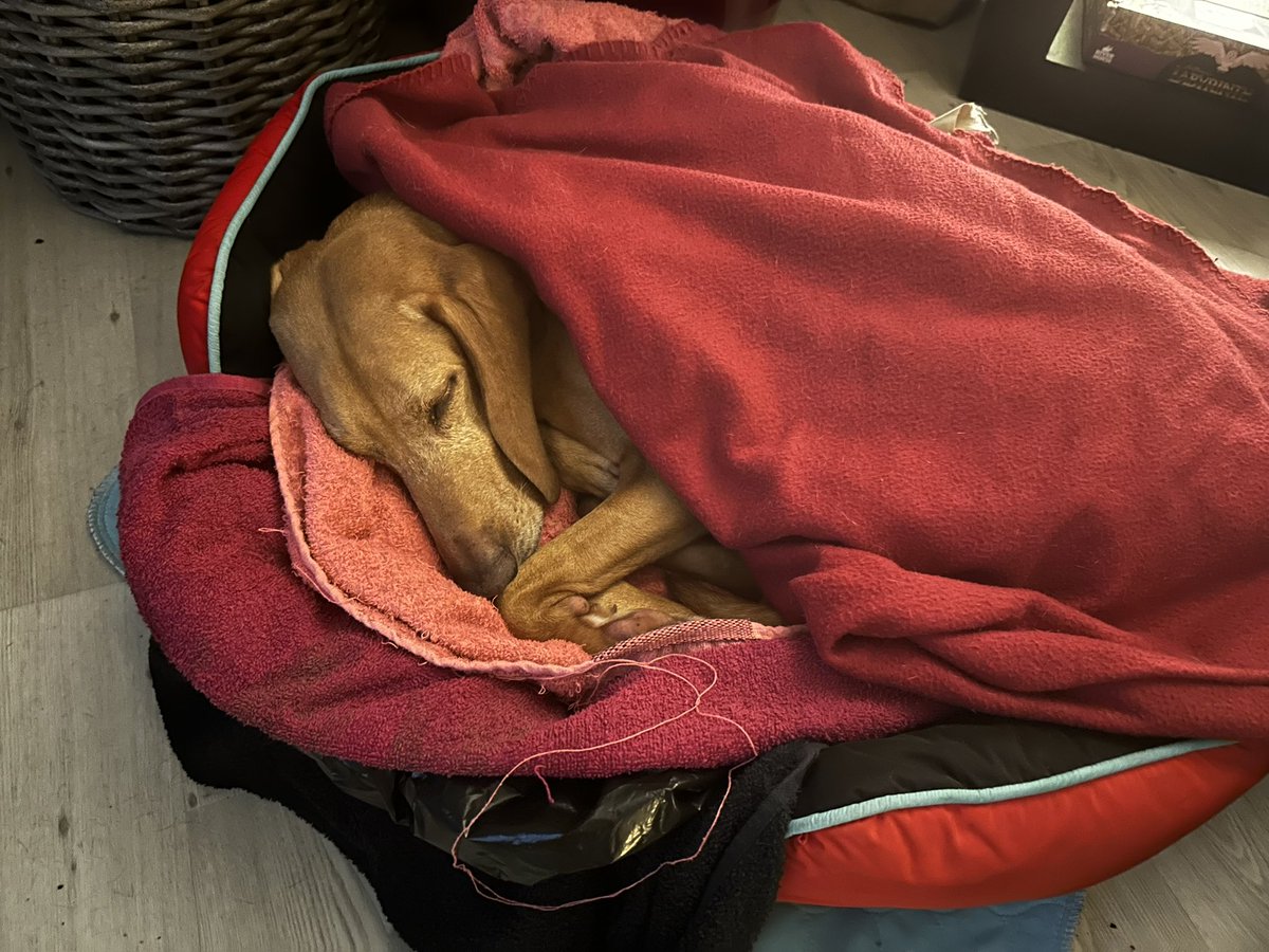 According2Taz tweet media