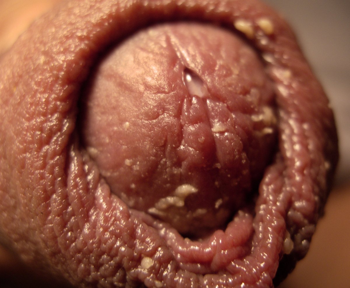 woboo7's tweet photo. #uncut #longforeskin #smell #cockcheese #precum #schwanzkäse https://t.co/oVWYXrdj8P
