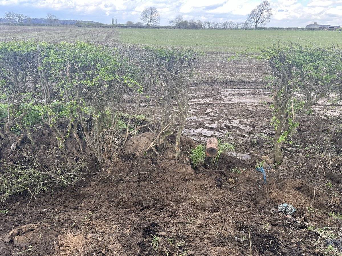 Another day, another drain fix