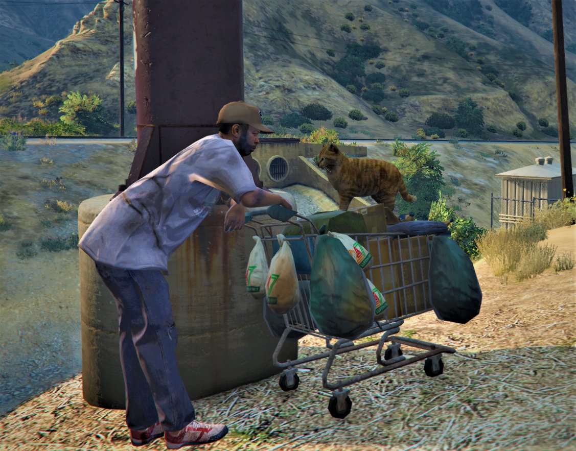 Been enjoying the cat RP a LOT. The exploration, the random encounters and just SEEING the WORLD of GTAV from a completely different perspective has been such a blast. 🐈

BIG SHOUTOUT to #freestyleRP for giving Mr Whiskers a place to roam.