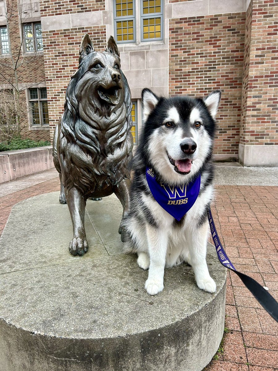 Can you spot the difference? 🐾