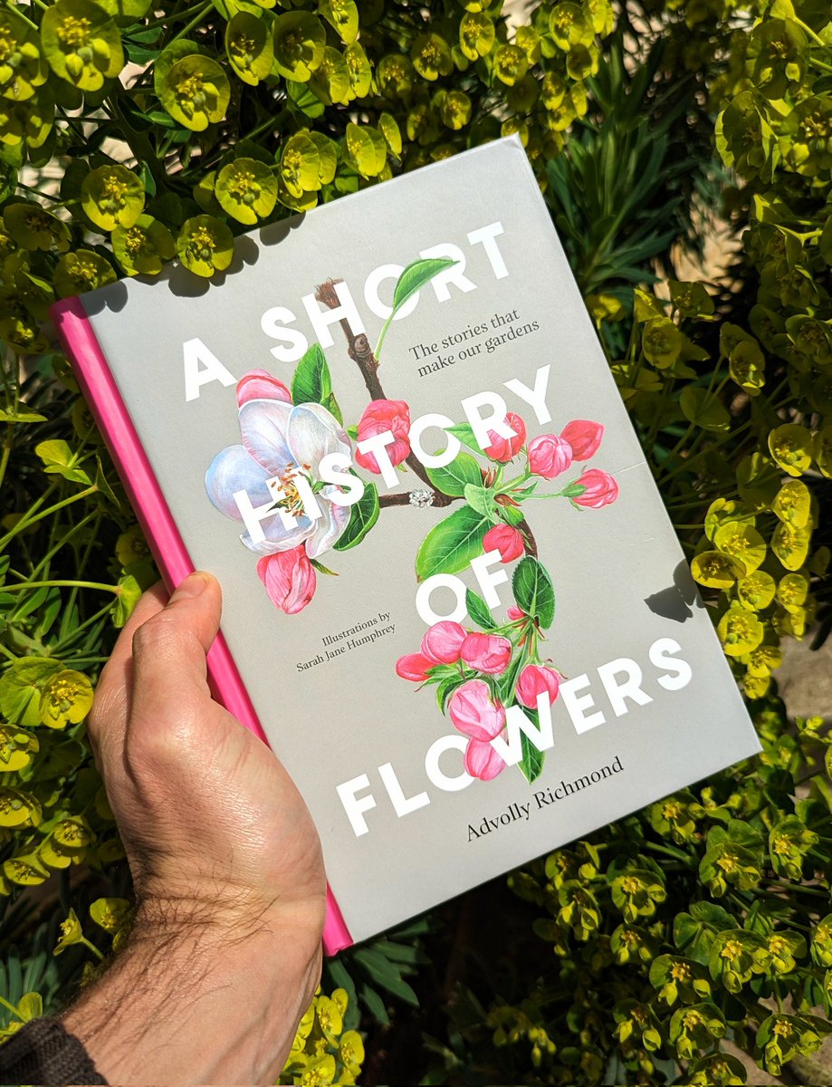 A nice surprise in my pigeonhole at work today 🤩 A Short History of Flowers by @AdvollyR , beautifully illustrated by @sarahgalerie Thanks guys - can't wait to delve in x