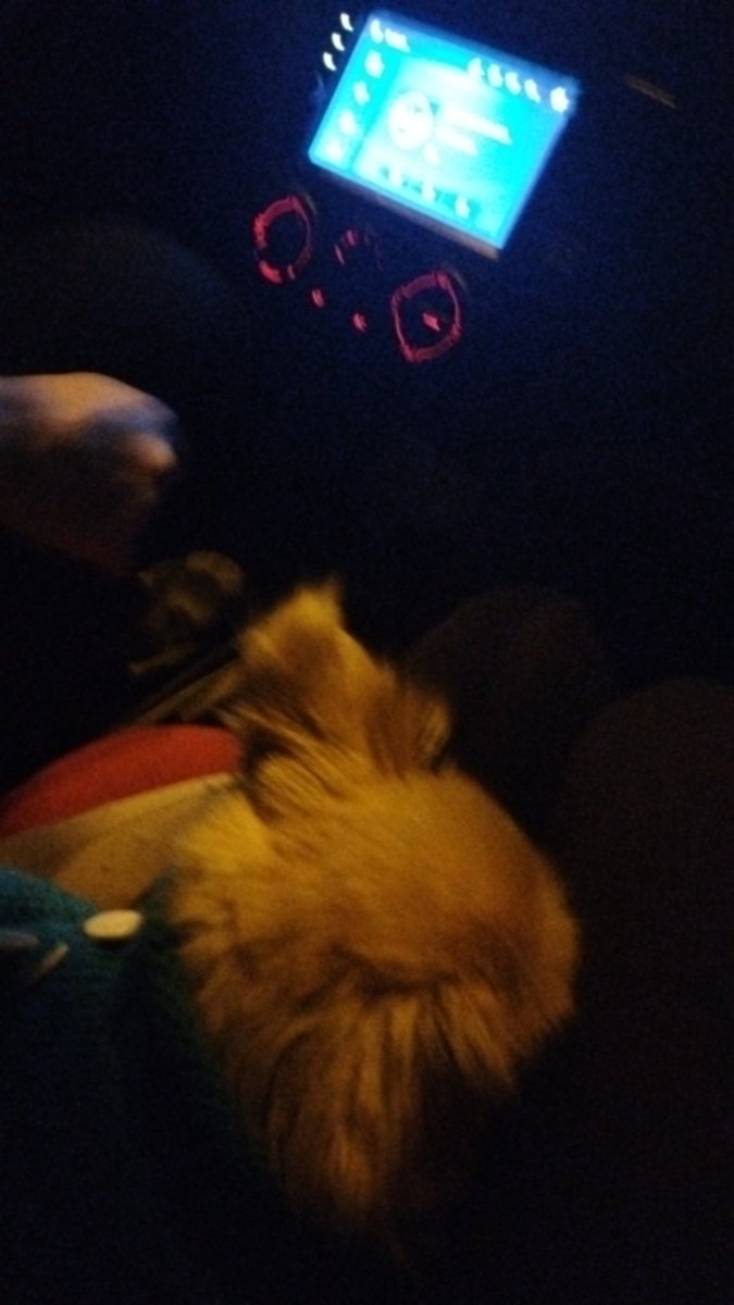 Oscarın her yerde dizimde uyuyup huzurlu hissettiği gibi huzurlu hissetmek istiyorum🥹