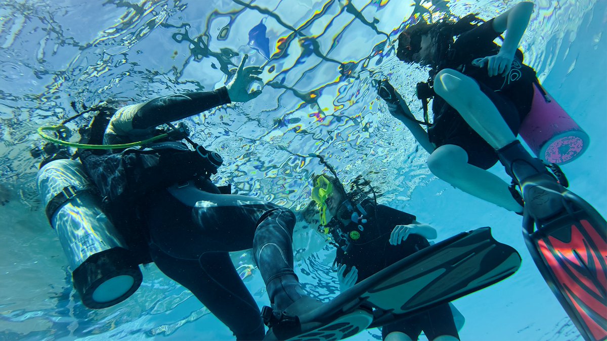 SOSdiving's tweet photo. Stay afloat with positive buoyancy! Mastering the art of buoyancy control not only enhances your diving experience underwater but also ensures smooth sailing on the surface.
...---...
#diving #scubaDiving #studentDivers #learning #BuoyancyControl #UnderwaterAdventure #DiveSkills https://t.co/fvLxL5xB27