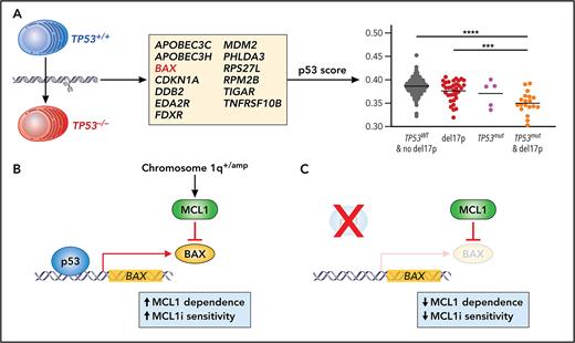 TP53 function over forms in multiple myeloma ow.ly/KNzZ50R6urG #lymphoidneoplasia