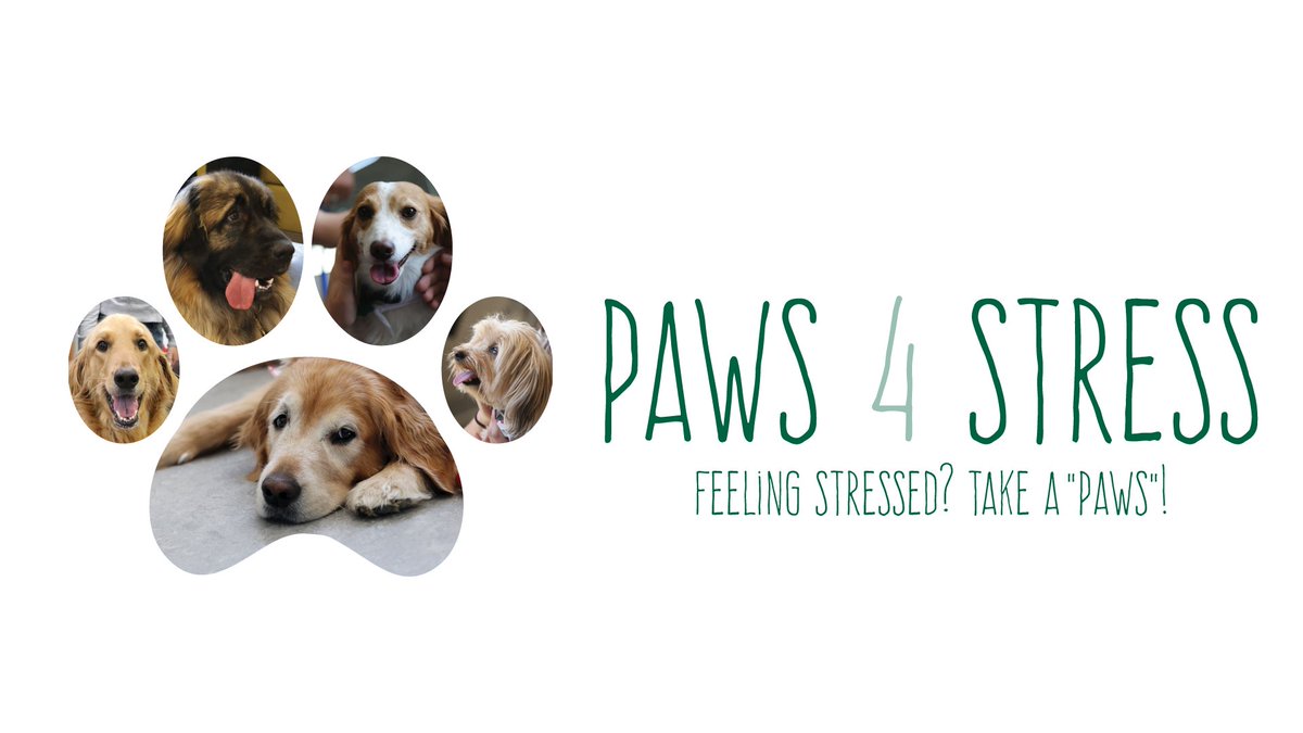 Feeling stressed about exams? Paws 4 Stress is here to save the day! ❤️🐶 Drop by the Student Commons Corner Lounge on Tuesday, April 16 between 12 pm and 1:30 pm to decompress with our sweet furry friends! Learn more: algqn.co/eHWn50QTkYw