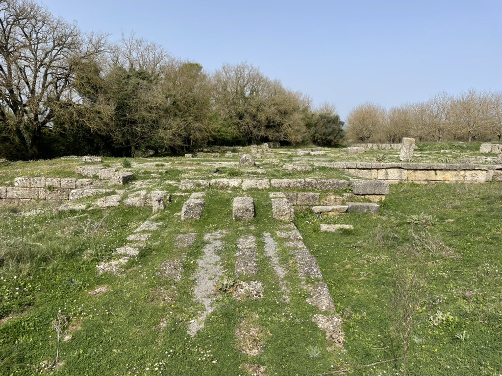 This morning, exploring Megalopolis. The site has the remains of impressive buildings, including a theatre, the remains of the Thersilion, the meeting place of the Arcadian primary assembly (the so-called Ten Thousand), a massive stoa, the temple of Zeus Soter and a bouleutetion.