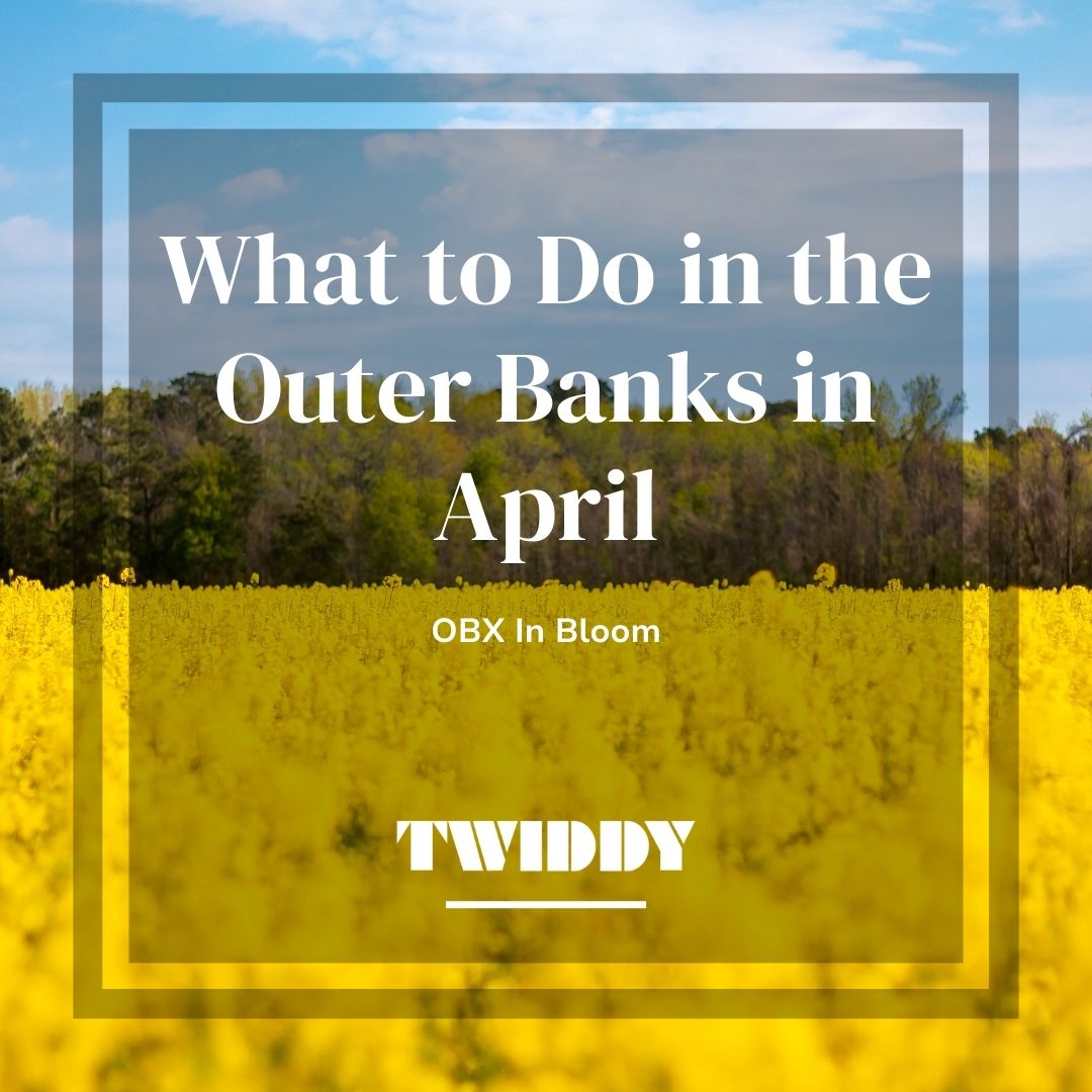 The month of April is here, and spring is officially here! With the weather warming up, the Outer Banks is in bloom! 🌷

Check it out on our blog for things happening this month 👉 
twiddy.com/t5Q4Y 

#twiddyobx #twiddy #obx #outerbanks #April