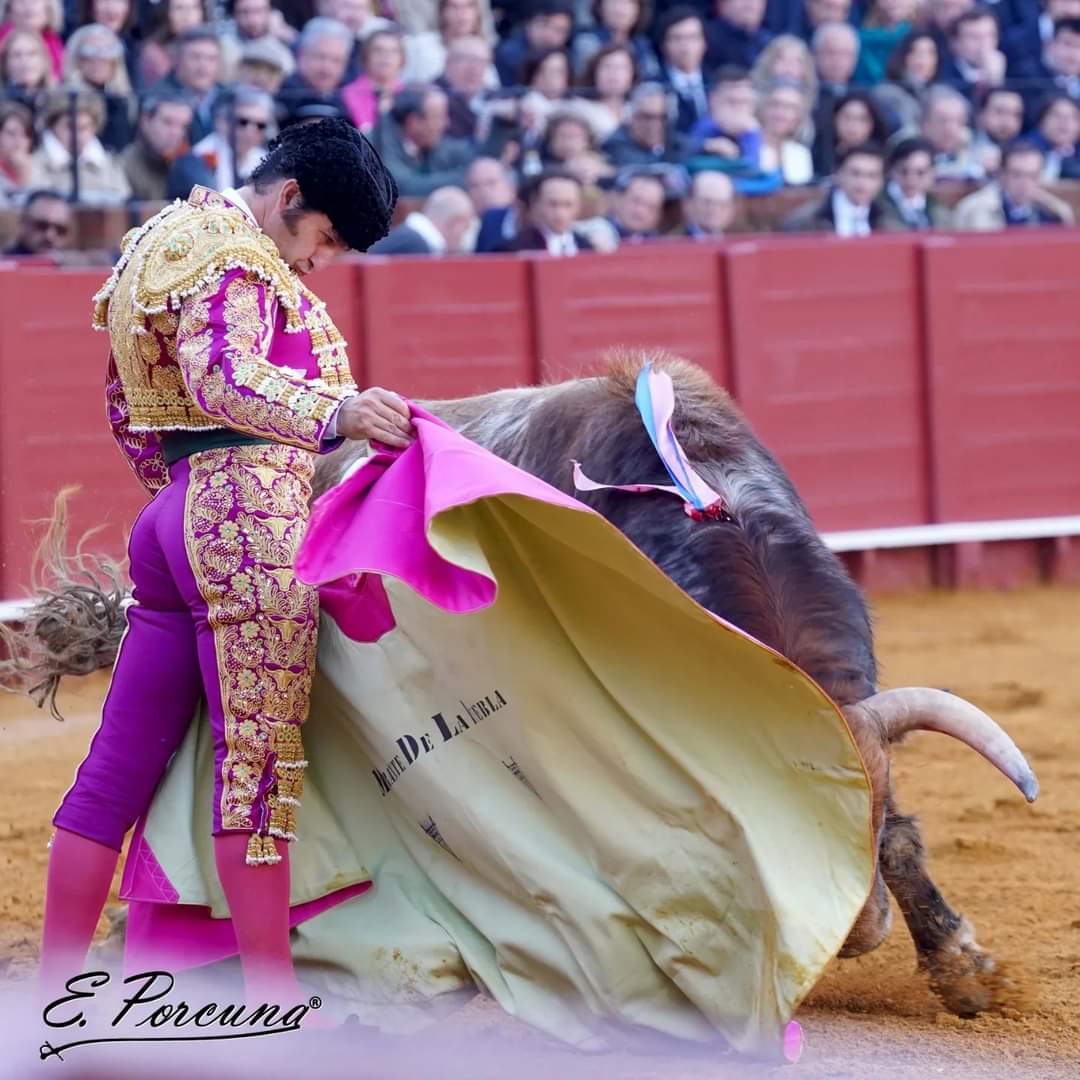 EDUFOTOROS's tweet photo. Sevilla 31-03-2024 @MoranteTour https://t.co/LHlBZN38Bm