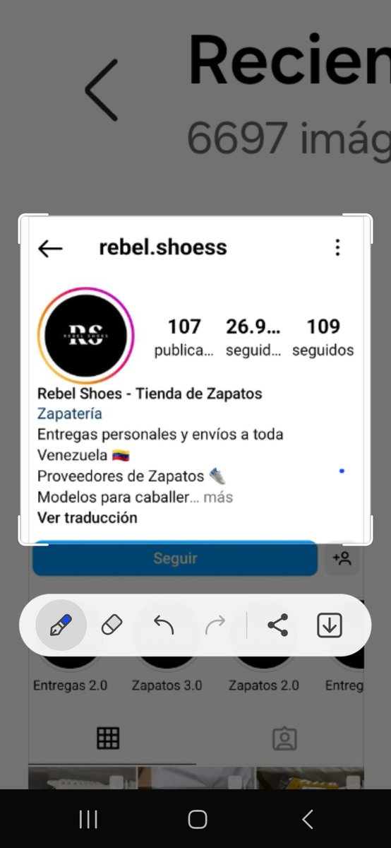 NildaCampero's tweet image. Esta cuentas son ESTAFADORES #rebel.shoess