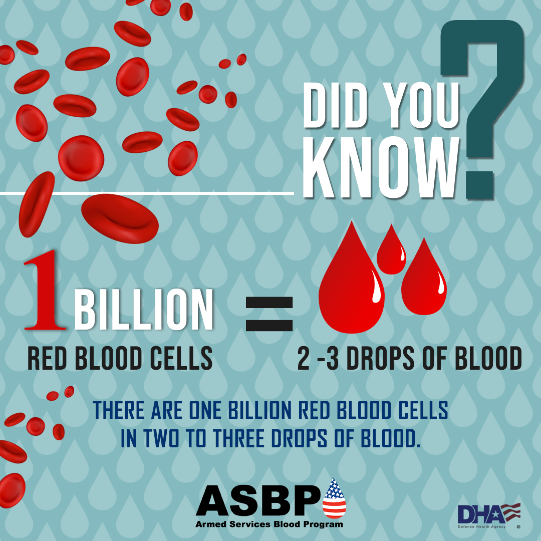 Be a lifesaver and donate billions

AND BILLIONS

of red blood cells.

#DonateBlood #DYK #ChangeLives #SaveLives