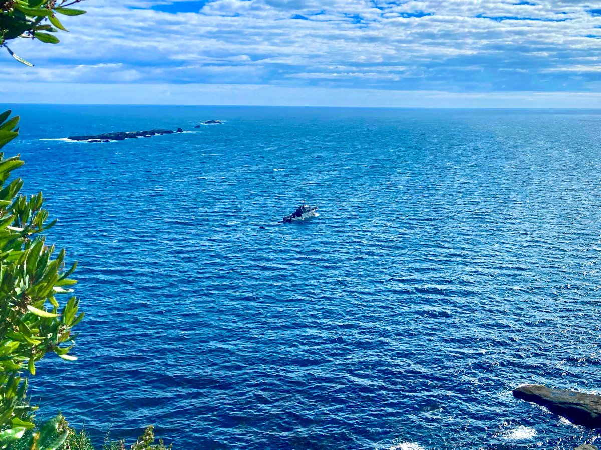 En forma coordinada, medios aéreos y navales de la #QuintaZonaNaval efectuaron operación de reaprovisionamiento del faro habitado de Isla Guafo.

En las fotos  Helicóptero Naval 53 perteneciente al Grupo Aeronaval de Puerto Montt y el PSG-71 Contramaestre Micalvi.

@Armada_Chile