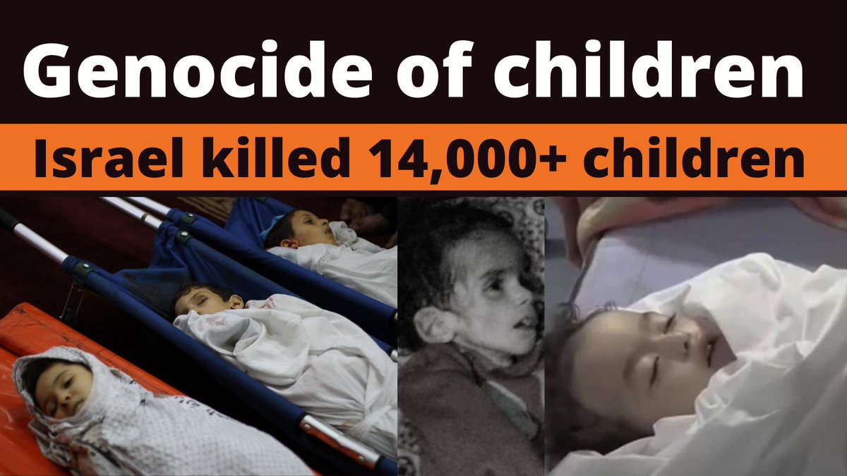 hate_stopper's tweet image. Instead of bullying special envoy @AmiraElghawaby for her humanity in speaking out against #GazaGenocide, pro-genocide trolls should perhaps focus on therapy. It must be an incredible toll on their psyche to keep defending a #childkiller state.