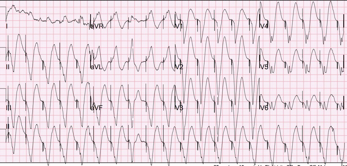 Stephen W. Smith tweet media