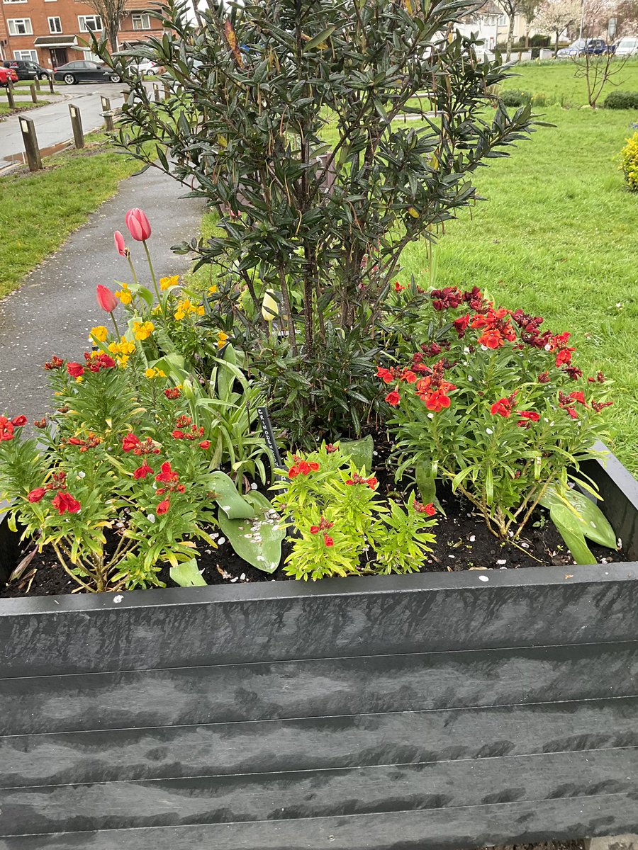 Please come along this Saturday from 9 o’clock, for our April gardening session at Erw Las and meet our friendly volunteers. No gardening experience required. #communitygardensweek #whitchurch #cardiff 🌱