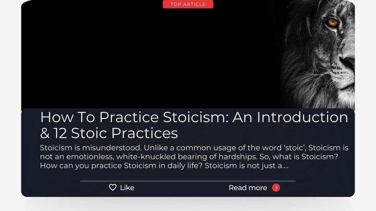 If you look broadly in the literature, you can find that Stoicism has advised on everything from how to sell a home to how to conduct your sex life. This is what attracts me to Stoicism. It’s always acknowledged that we have roles to play in this life. It understands that we have