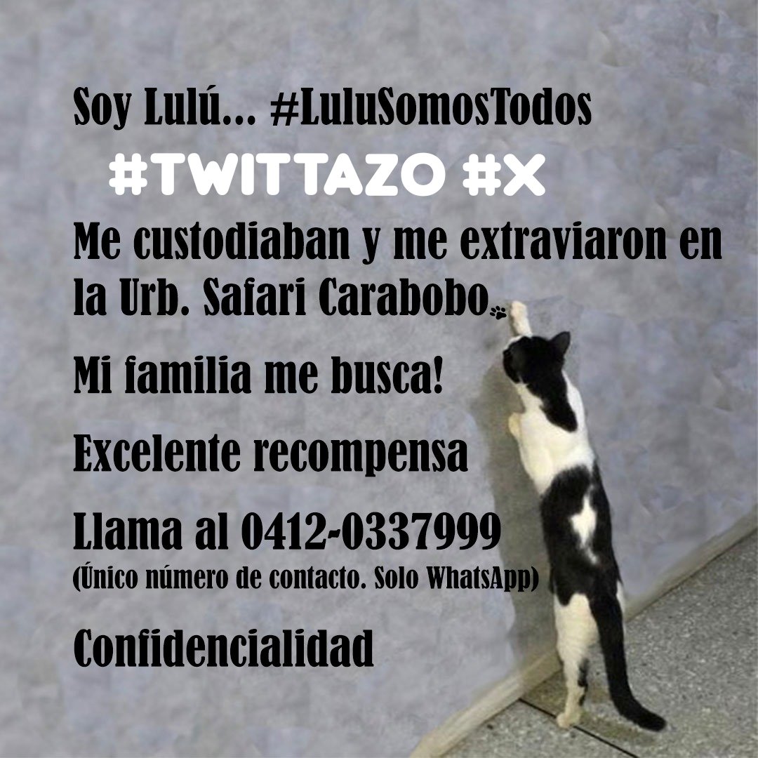 NuriTrejo's tweet photo. #2Abr  Safari #Carabobo #SeBusca a #LuluSomosTodos, no hay tregua, ni cansancio, ni olvido. Ángel Perfecto, puedes hacerlo, atráela a ti. Tráela de regreso con su #Familia, #LuluEsElMilagro. #Seguimos Fe, Fe y más Fe! https://t.co/ItBWjXl4tF