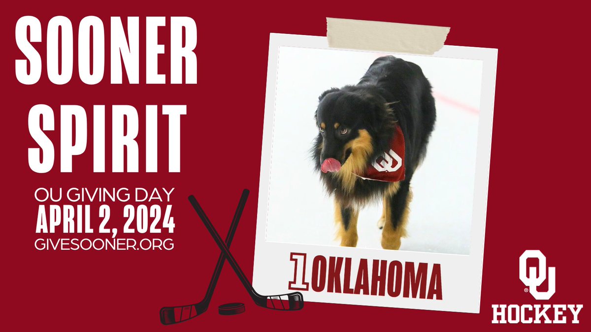 We love our unofficial Sooner Hockey mascot, Kylo! Sooner Nation, share your babies and pets repping Sooner gear (or even better Sooner Hockey gear) until 4pm and tag us! 

Don’t forget to donate to the OU Hockey Foundation at the link in our bio! BOOMER! #ougivingday