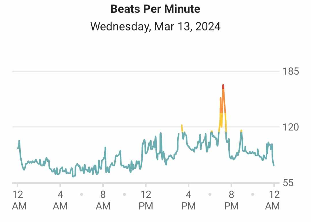 'You don't ever get nervous performing, do you?' My heart rate on the day of a concert with one (1) solo: