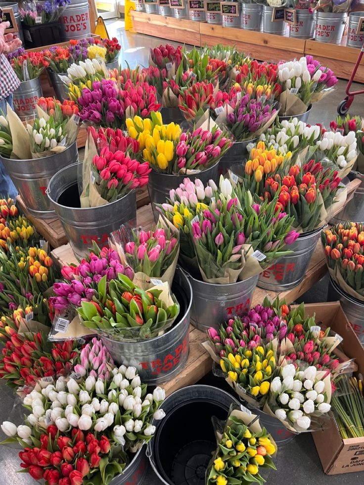 f⍳o⍵er (@flowers_7_) on Twitter photo 