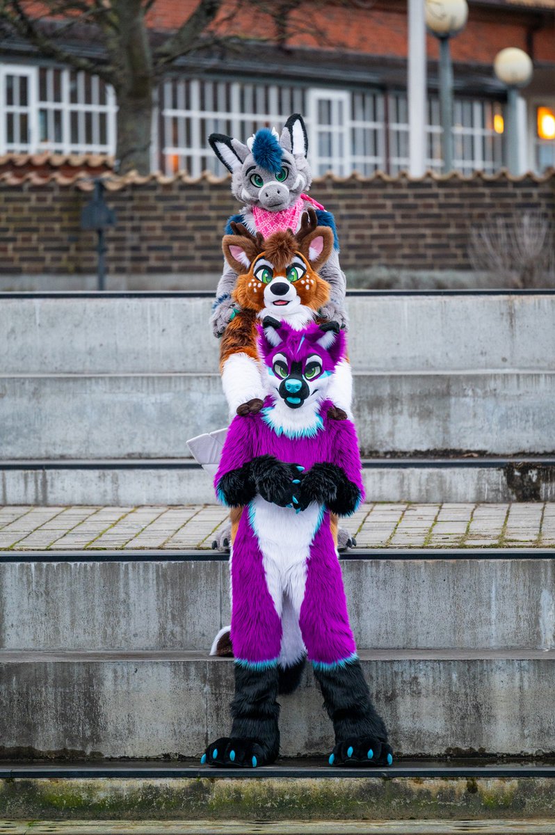 We are arranged from top to bottom 🥴 🐉 @Ryidergon 🐕‍🦺@CycurCanine 📸@Fusselgenerator