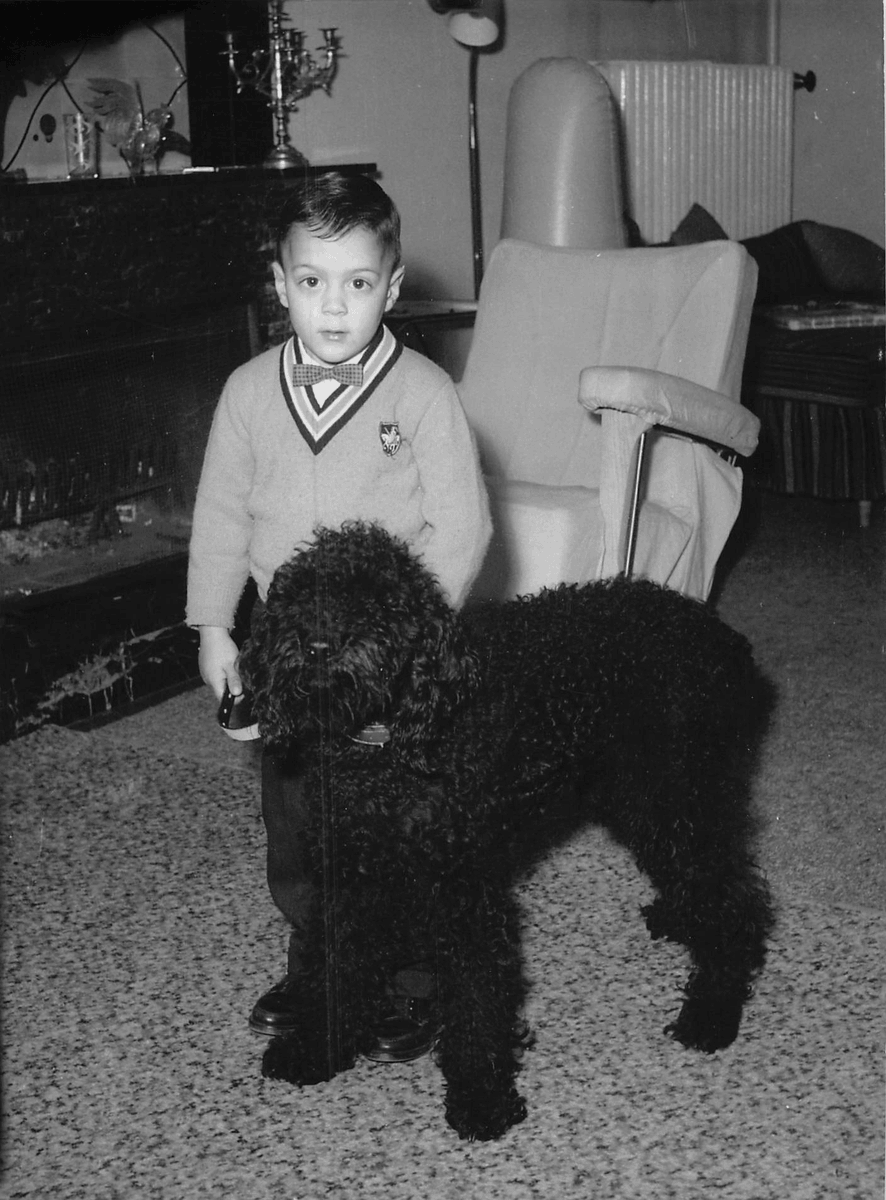 Recently in my hometown of Fountain Hills, AZ, I met a family of supporters, including their beautiful black poodle. I was amazed how their dog resembled my beloved poodle, Cookie, who travelled with me and my family on transfers with the U.S. Bureau of Narcotics (now known as