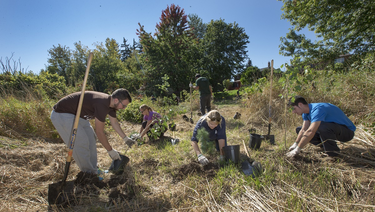 We’re celebrating #EarthDay 2024 from April 4-May 11 with:
🌳Tree plantings
🎨Art exhibitions
🌱Library events
🗑️Park clean-ups
♻️Clothing donations & repair hub
💻Webinars

Register: bit.ly/3VIweTX 

@saugaparksrec @mississaugalib @SaugaCulture #Mississauga50